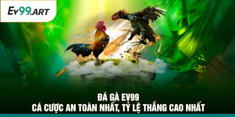 Đá Gà EV99 – Cá Cược An Toàn Nhất, Tỷ Lệ Thắng Cao Nhất
